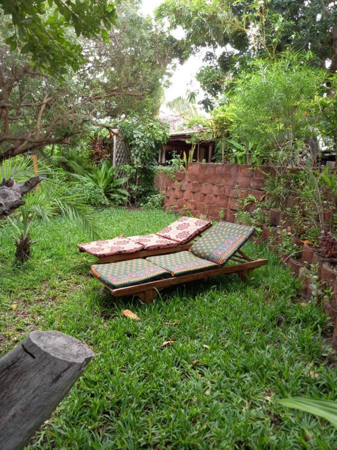 Отель Casa Camaleao Gekko Cottadge Tofo Экстерьер фото