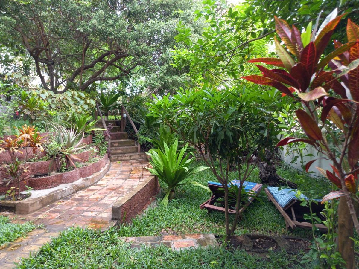 Отель Casa Camaleao Gekko Cottadge Tofo Экстерьер фото
