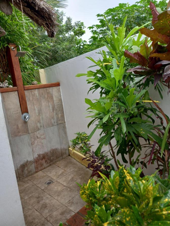 Отель Casa Camaleao Gekko Cottadge Tofo Экстерьер фото